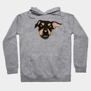 Dobermann Face Hoodie